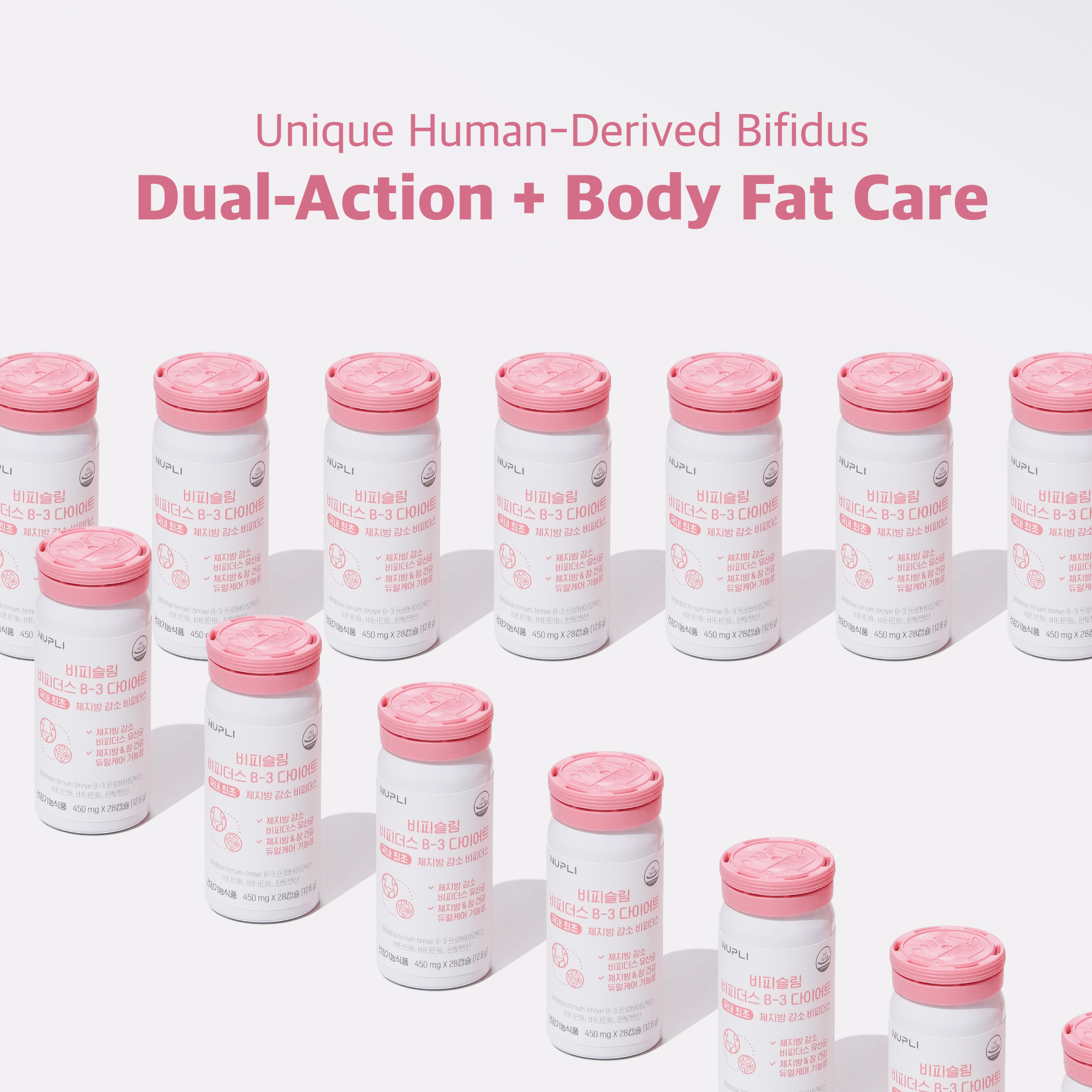 Bifidus B-3 Diet (8 boxes)